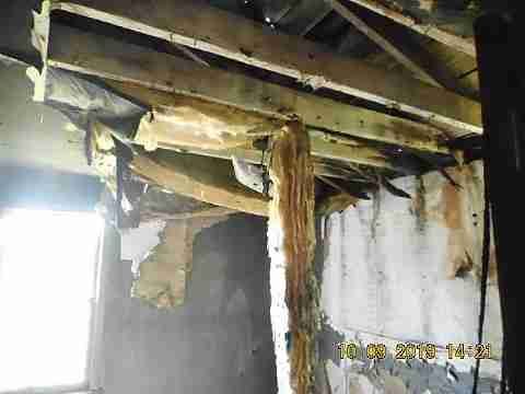 13015 Kelly (23)_m.jpg